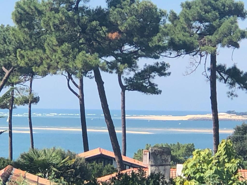 Chambre d’hôtes Pyla sur Mer La Teste-de-Buch Exterior foto